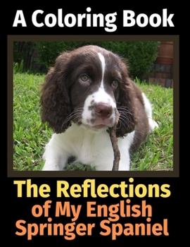 Paperback The Reflections of My English Springer Spaniel: A Coloring Book