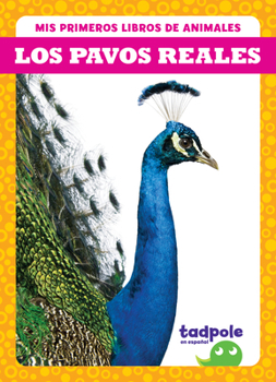 Library Binding Los Pavos Reales (Peacocks) [Spanish] Book