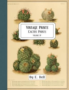 Vintage Prints: Cactus Prints
