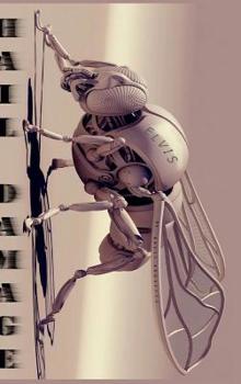 Hail Damage - Book #4 of the Hail