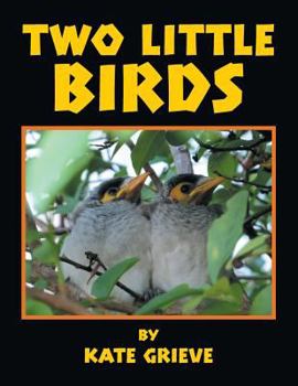 Paperback Two Little Birds Book