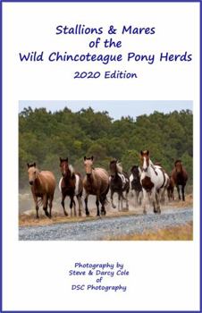 Stallions and Mares of the Wild Chincoteague Pony Herds