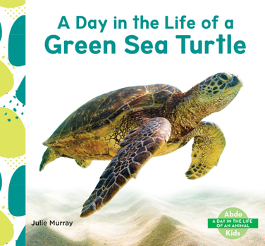 Day in the Life of a Green Sea Turtle