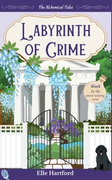 Paperback Labyrinth of Crime Book