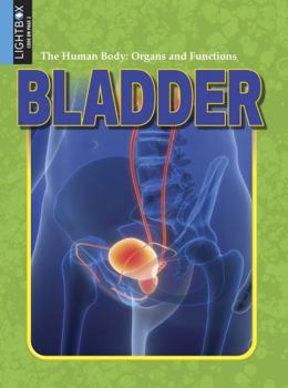 Bladder