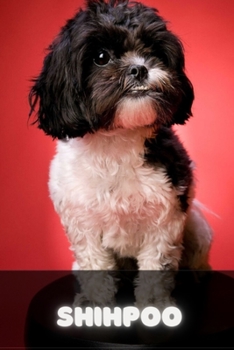 Paperback Shihpoo: Complete breed guide Book