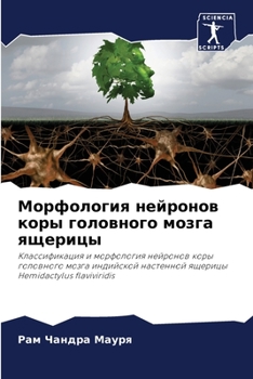 Paperback Морфология нейронов кор& [Russian] Book