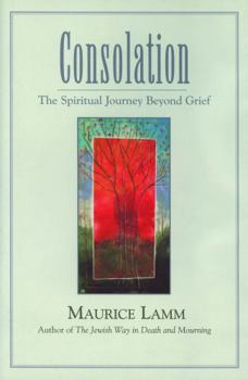 Hardcover Consolation: The Spiritual Journey Beyond Grief Book