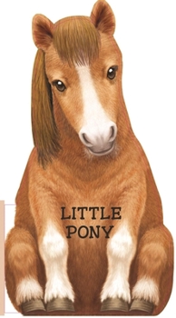 Board book Little Pony Book