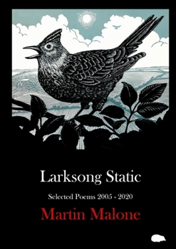 Paperback Larksong Static: Selected Poems 2005-2020 Book