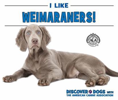 I Like Weimaraners! - Book  of the Discover Dogs with the American Canine Association