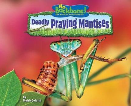 Library Binding Deadly Praying Mantises Book