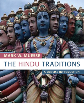 Paperback The Hindu Traditions: A Concise Introduction Book