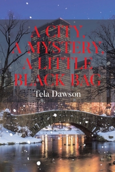 A City, a Mystery, a Little Black Bag