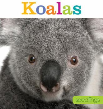 Koalas - Book  of the Seedlings