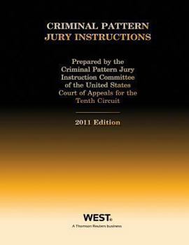 Paperback Criminal Pattern Jury Instructions Book