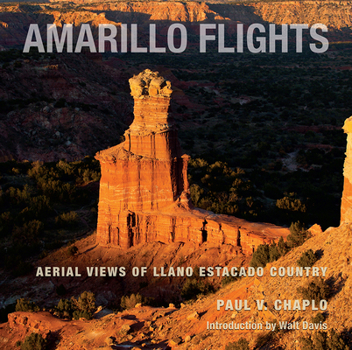 Hardcover Amarillo Flights: Aerial Views of Llano Estacado Country Book