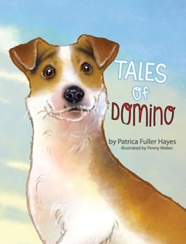 Hardcover Tales of Domino Book