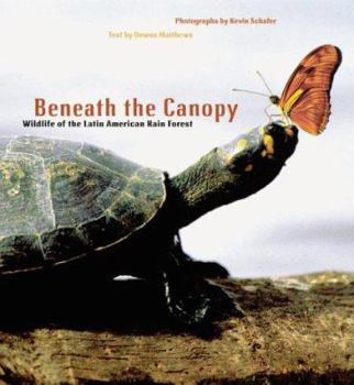 Paperback Beneath the Canopy Book
