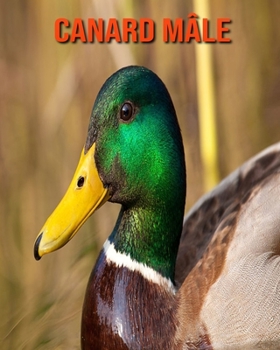 Canard Mâle: Photos Etonnantes & Recueil d’Informations Amusantes Concernant les Canard Mâle (French Edition)