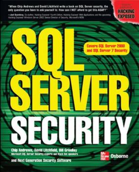 Paperback SQL Server Security Book