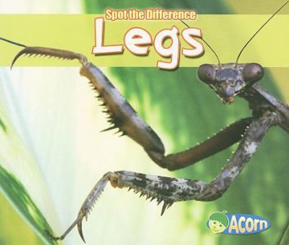 Paperback Legs Book