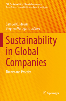 Paperback Sustainability in Global Companies: Theory and Practice Book