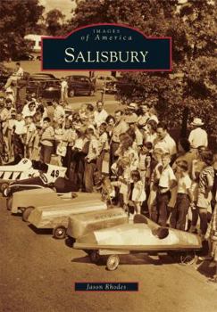 Paperback Salisbury Book