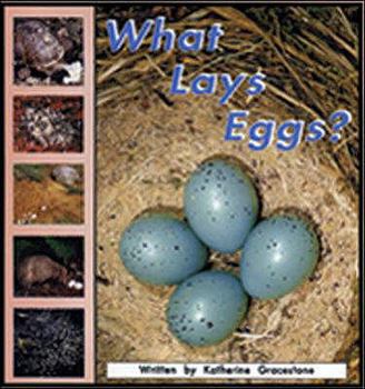 Paperback What Lays Eggs?: First Snow (Storyteller Non-fiction) Book