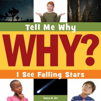 Paperback I See Falling Stars Book