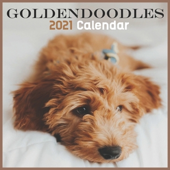 Goldendoodles 2021 Calendar: 2021 Calendar, Cute And Funny Gift Idea For Goldendoodle Lovers Or Owners Men,Women And Kids