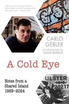 Paperback A Cold Eye: Notes from a Shared Island, 1989-2024 Book