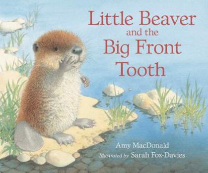 Hardcover Little Beaver and the Big Front Tooth Book