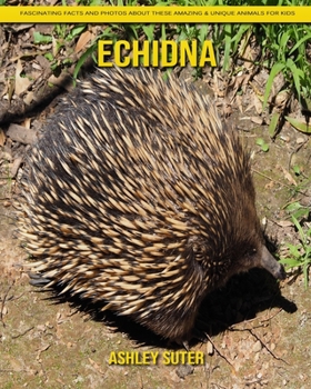 Paperback Echidna: Fascinating Facts and Photos about These Amazing & Unique Animals for Kids Book