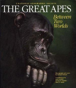 Hardcover The Great Apes: Between Two Worlds Book