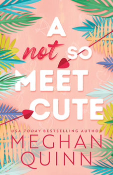 A Not So Meet Cute - Book #1 of the Cane Brothers