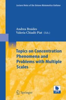 Paperback Topics on Concentration Phenomena and Problems with Multiple Scales Book