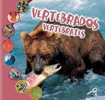 Library Binding Vertebrados: Vertebrates Book