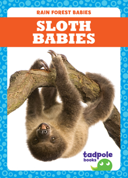 Library Binding Sloth Babies Book