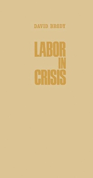 Labor in Crisis: THE STEEL STRIKE OF 1919 (Critical Periods of History.)