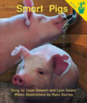 Paperback Early Reader: Smart Pigs Book