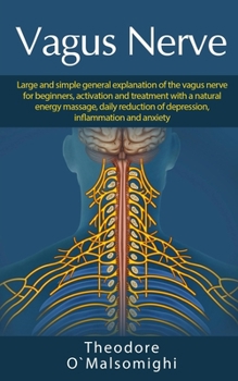 Paperback Vagus Nerve: Large and simple general explanation of the vagus nerve for beginners, activation and treatment with a natural energy Book