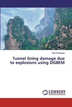 Paperback Tunnel lining damage due to explosions using DGBEM Book