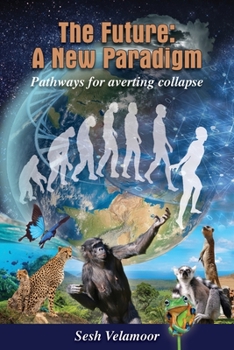 Paperback The Future: A New Paradigm - Pathways for Averting Collapse Book