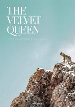 DVD The Velvet Queen Book