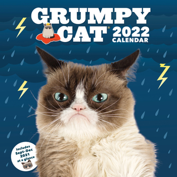 Calendar Grumpy Cat 2022 Wall Calendar Book
