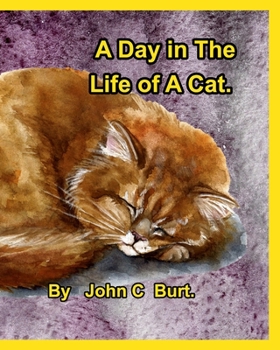 Paperback A Day in The Life of A Cat. Book