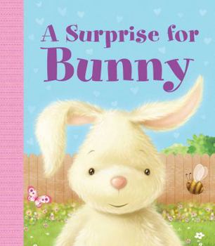 Board book A Surprise for Bunny Book