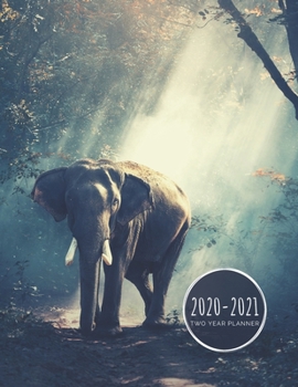 Paperback 2020-2021 Two Year Planner: Elephant Planner January 1, 2020 to December 31, 2021 Weekly & Monthly Planner + Calendar Views 2 Year Calendar 24 Mon Book
