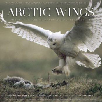 Hardcover Arctic Wings: Birds of the Arctic National Wildlife Refuge [With CD] Book